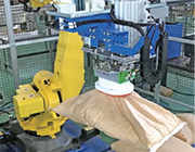 デパレタイザー